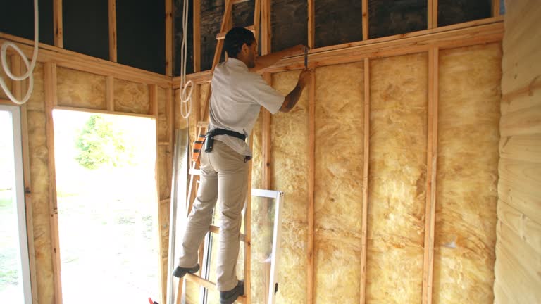 Best Eco-Friendly or Green Insulation Solutions  in USA